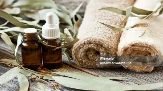 告别瞎养！上海阿姨亲授：季节养生搭配秘籍，让你少走弯路！ 海报