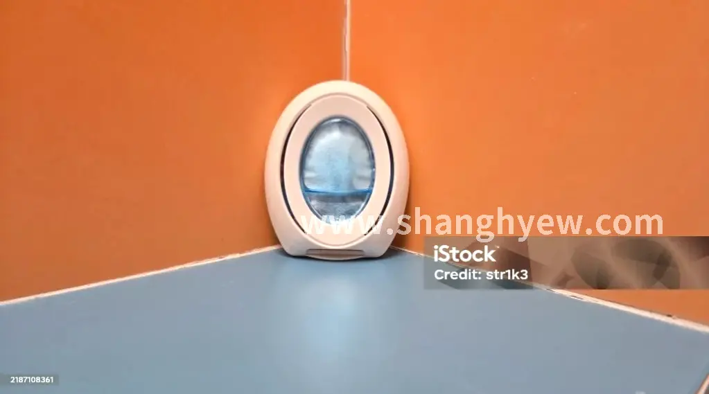 上海